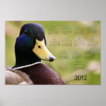 Poster del calendario de 2012 patos