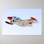 Poster del castaño de Indias de T-2C