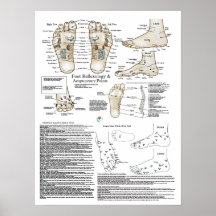Poster del punto del Reflexology y de la acupuntur