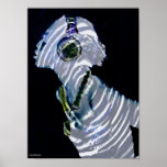 Poster del reflejo del bajo