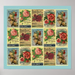 POSTER ~DESIGNED FROM VINTAGE ROSE CULTURE GUIDE