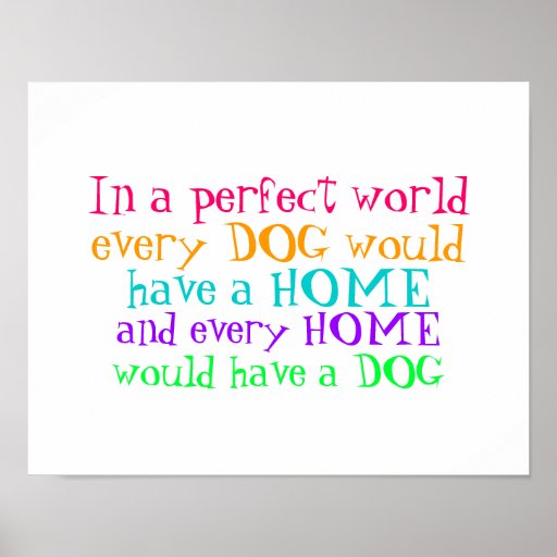 poster every home should have a dog Zazzle