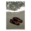 POSTER-  Flip Flops - Bald Head Island, NC - P... posters