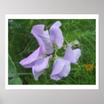 Poster Flower