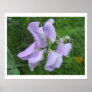 Poster Flower posters