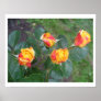 Poster Flower posters