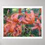 Poster Flower posters