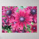 Poster Flower