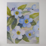 POSTER - 'Forget-me-not'