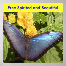 Poster-  Free Spirited and Beautiful