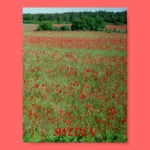 Poster Gotland Sweden posters