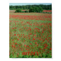 Poster Gotland Sweden posters by irenemaria Poster Gotland Sweden posters