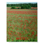 Poster Gotland Sweden