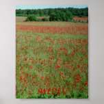 Poster Gotland Sweden