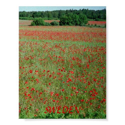 Poster Gotland Sweden print