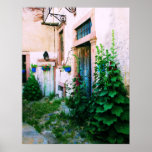 POSTER  Greek garden -  Hollyhocks and blue doors