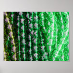 Poster, Green Stone bracelets