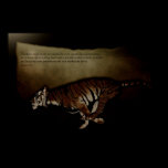 Poster - Hebrews 12:1 - Let us Run!  Inspirational