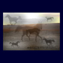 Poster Horse Collage posters by sherrellsphoto77 Poster Horse Collage posters