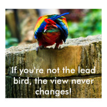 Poster: If you're not the lead bird, the view n... posters