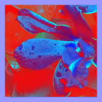 POSTER in red and blue abstract posters by PinkMonkey_8 POSTER in red and blue abstract posters