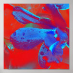 POSTER in red and blue abstract