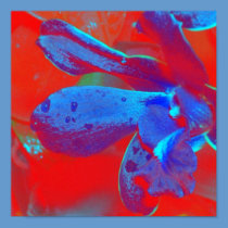 POSTER in red and blue abstract posters