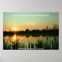 Poster / Iroquois National Wildlife Refuge