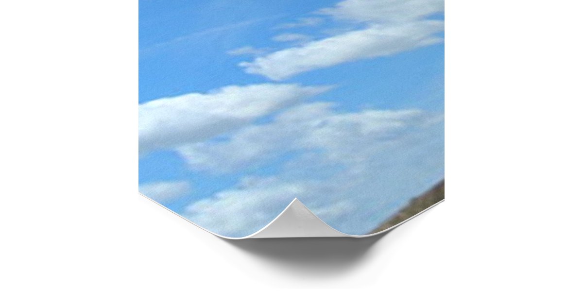 Poster Kite Zazzle