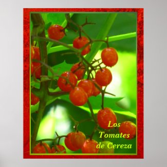 Póster - Los Tomates de Cereza Poster