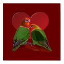 Poster - Lovebirds posters