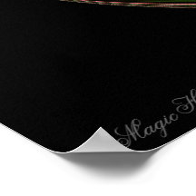 Poster. Magic Hibiscus
