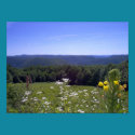 Poster - Mohawk Trail posters