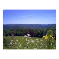 Poster - Mohawk Trail posters