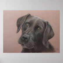 Poster negro del perro de Labrador