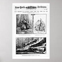 Poster-Newspaper Covers-23