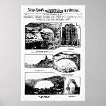 Poster-Newspaper Covers-9