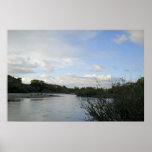 Poster of Salinas River in Paso Robles