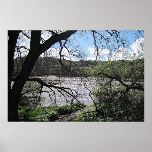 Poster of Salinas River in Paso Robles