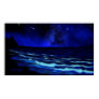 tunnels beach, kauai, hawaii, glow in the dark,