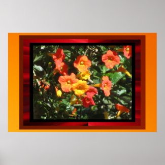 Poster - Orange Flowers