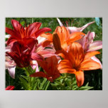 Poster oriental de la flor de los lirios