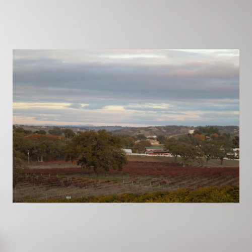 Poster: Paso Robles Wine Country in November print