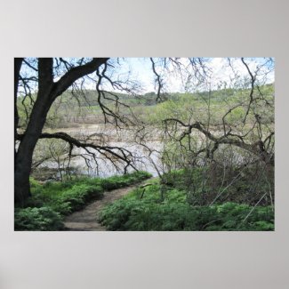 Poster: Path to the Salinas River in March Poster