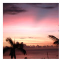POSTER - PINK SUNSET AND BLACK VOG posters by Karedesign4 POSTER - PINK SUNSET AND BLACK VOG posters