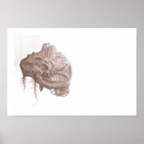 Poster Print "Accumulated Humidity"