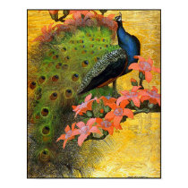 Poster Print: Blue Peacock