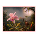 Poster/Print: Cattleya Orchid & Three Hummingbirds