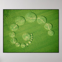 Poster Print:  Crop Circle - Single Julia