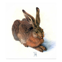 Poster/Print:  The Rabbit